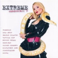 VA - Extreme Sundenfall 3 (2005)