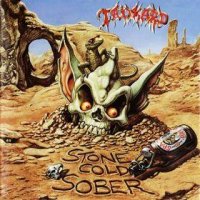 Tankard - Stone Cold Sober (1992)  Lossless