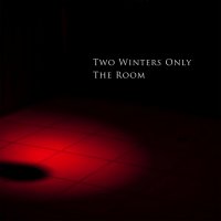 Two Winters Only - The Room (2014)