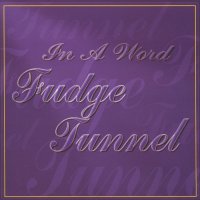 Fudge Tunnel - In A Word (1994)