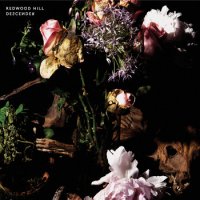 Redwood Hill - Descender (2013)