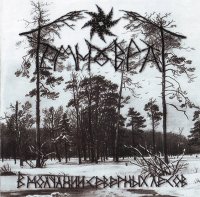 Темноврат - В Молчании Северных Лесов (2010)