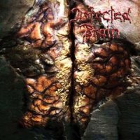 Infected Brain - Infected Brain (2006)