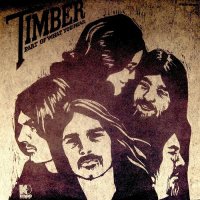 Timber - Part Of What You Hear (1970)