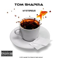 Tom Shapira - Mysterious (2014)