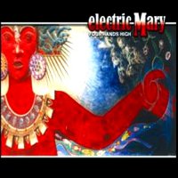 Electric Mary - Four Hands High (2004)