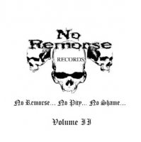 VA - No Remorse Records Compilation Vol II (2013)