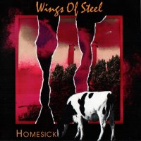 Wings Of Steel - Homesick (1992)