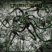 Guineapig - Bacteria (2014)