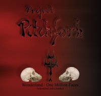 Project Pitchfork - Wonderland / One Million Faces (Remastered) (2016)