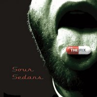 Sour Sedans - The Fix (2016)