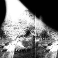 Godspeed You! Black Emperor - Asunder, Sweet And Other Distress (2015)