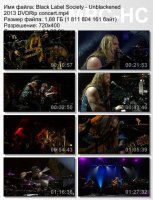 Black Label Society - Unblackened DVDRip (2013)