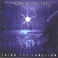 Theory in Practice - Third Eye Function (1997)  Lossless