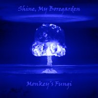 Shine, My Boregarden - Monkey\'s Fungi (2009)