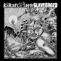 Birdflesh & Slavebreed - Nekroacropolis (Split) (2015)