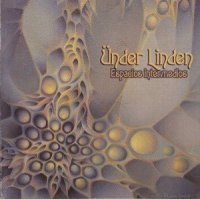 Ünder Linden - Espacios Intermedios (2013)