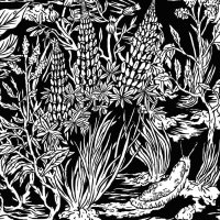 Eternal Tapestry - Wild Strawberries (2015)