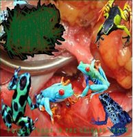 Neobatrachia - Poison Frogs In The Urinary Tract (2013)