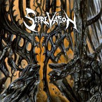 Seprevation - Ritual Abuse (2012)