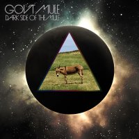 Gov\'t Mule - Dark Side Of The Mule (Deluxe Edition) (2014)