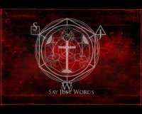 Say Just Words - This is Not Salvation (CDS) (2012)