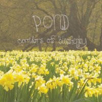 Pond - Corridors Of Blissterday (2009)