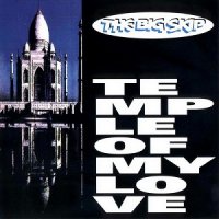 The Big Skip - Temple Of My Love (1993)