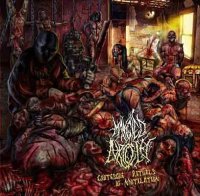 Mangled Atrocity - Grotesque Rituals Of Mutilation (2013)  Lossless