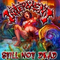 Interment - Still Not Dead (2013)