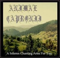 Animae Capronii - A Solemn Chanting Arise For You (2012)