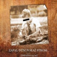 Insania - Zapal Dům Poraž Strom... (2013)