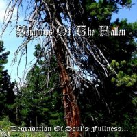 Shadows Of The Fallen - Degradation Of Soul\'s Fullness (2013)