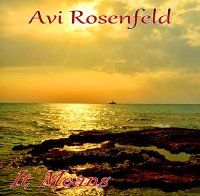 Avi Rosenfeld - AIt Means (2014)