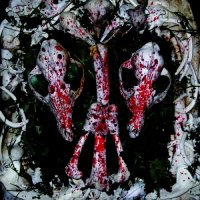 Instinct - An Auroral Gathering Of Skulls (Compilation) (2016)