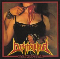 Destroyer - Slashing Metal (2013)  Lossless