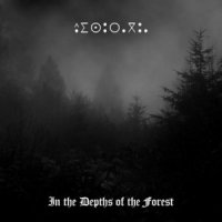 Aisuragua - In The Depths Of The Forest (2012)