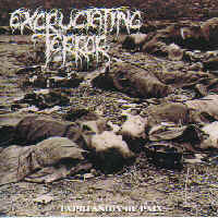 Excruciating Terror - Expression of Pain (1996)