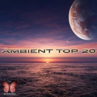 VA - Ambient Top 20 (2013)