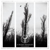 A Secret Revealed - The Bleakness (2015)