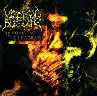 Visceral Bleeding - Absorbing The Disarray (2007)