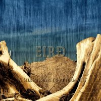 Eirð - A Silent Spirit\'s Aftermath (2014)