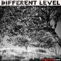 Resonanz Kreis - Different Level (2016)