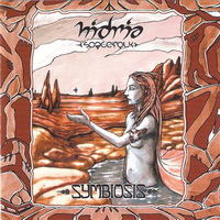 Hidria Spacefolk - Symbiosis (2002)