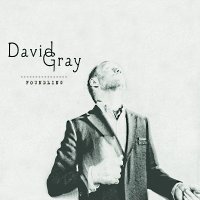 David Gray - Foundling (2010)