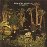 Echo & The Bunnymen - Evergreen [Limited Edition] (1997)