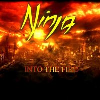 Ninja - Into The Fire (2014)