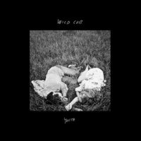 Wild Cub - Youth (2014)