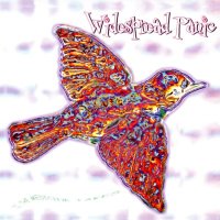 Widespread Panic - \'Til The Medicine Takes (1999)