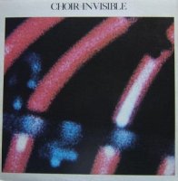 Choir Invisible - Choir Invisible (1981)